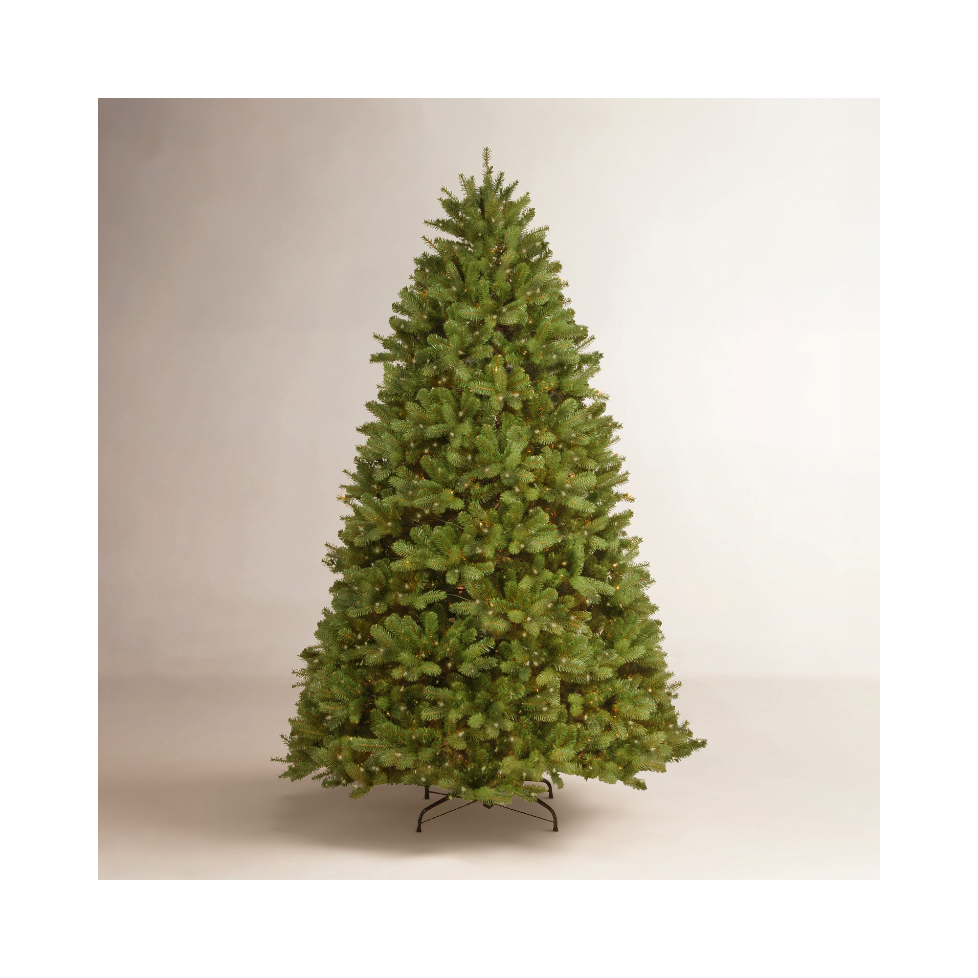 Newberry Spruce Tree with Clear Lights, 7.5'