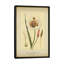 «Mariposa Lily», reproduction sur toile-31847409-73199301-73199302
