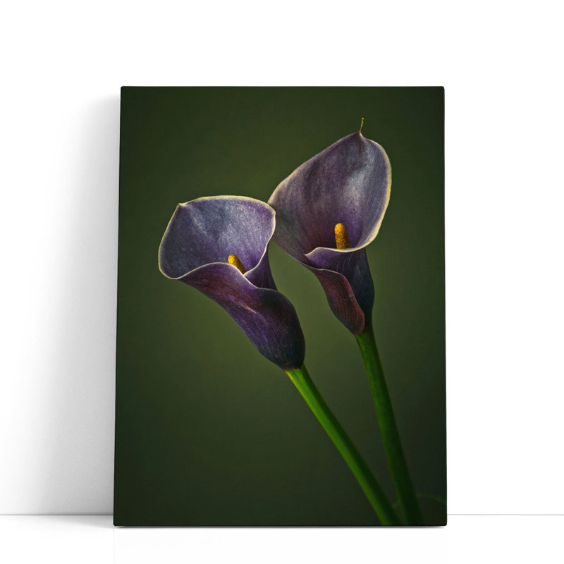 «Two Calla Lilies 1», reproduction d'art sur toile, H 24 po x l 18 po