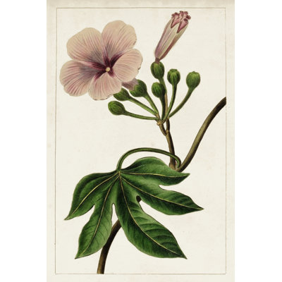 Mauve Botanicals I - Wrapped Canvas Painting
