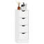 Freestanding Bathroom Cabinet