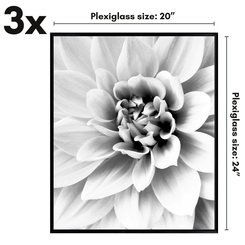 Malaya 3 Pack Lightweight Poster Frames Slide-In Photo Frames with Buildable Molding, 20" x 24"