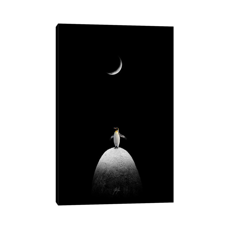 The Majestic Penguin by Kathrin Federer - Wrapped Canvas Print, 101.6 cm H x 66.04 cm W x 1.91 cm D