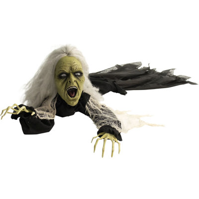 Haunted Hill Farm Scary Crawling Witch Animatronic with Lights, Sound