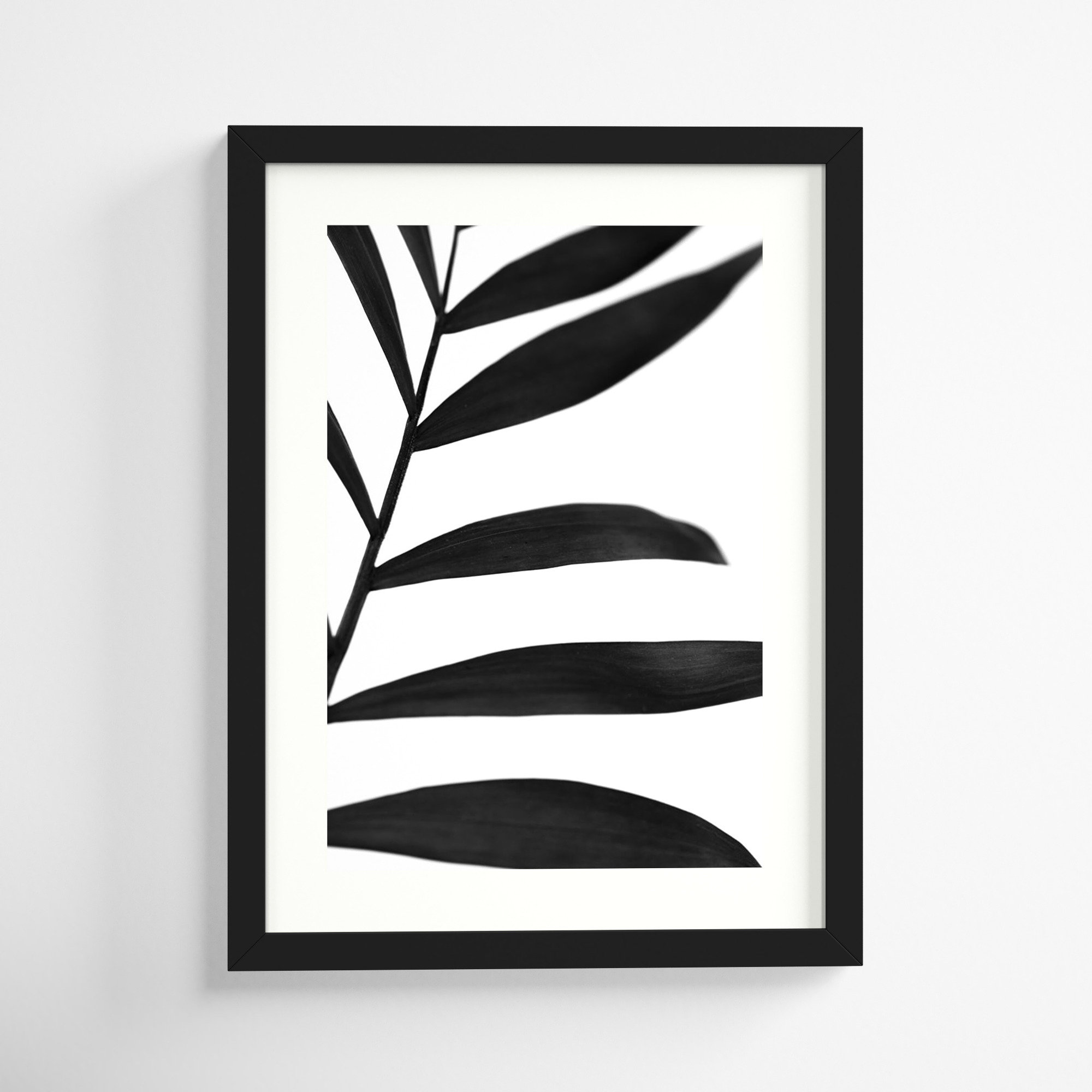 Black Palms V by W. Stramel, Black Framed Paper, 20" H x 15" W
