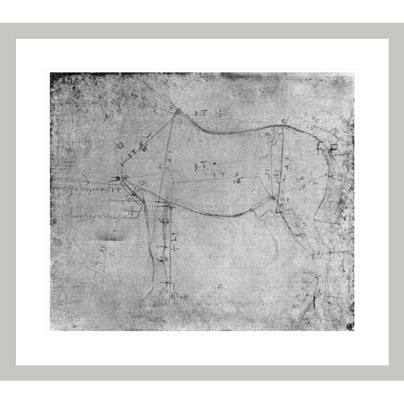 Étude d'un cheval (pointe en métal sur papier) (photo noir et blanc) par Leonardo Da Vinci, H 23,5 po x l 26,53 po