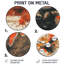 Amber couleurs Wild Moose Energy II - impression murale moderne en métal brun-657925208