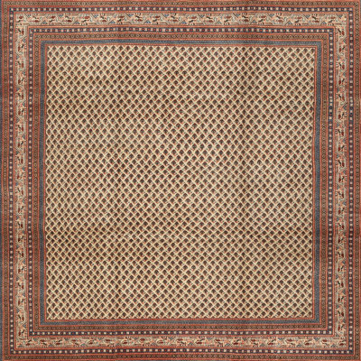 Southwestern Indoor Rug
