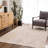 Edsel Oriental Light Gray/Beige Area Rug-507732620