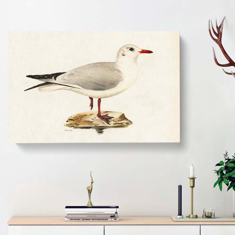 Black-Headed Gull by Von Wright - Wrapped Canvas Painting, 35cm H x 50cm W x 3cm D