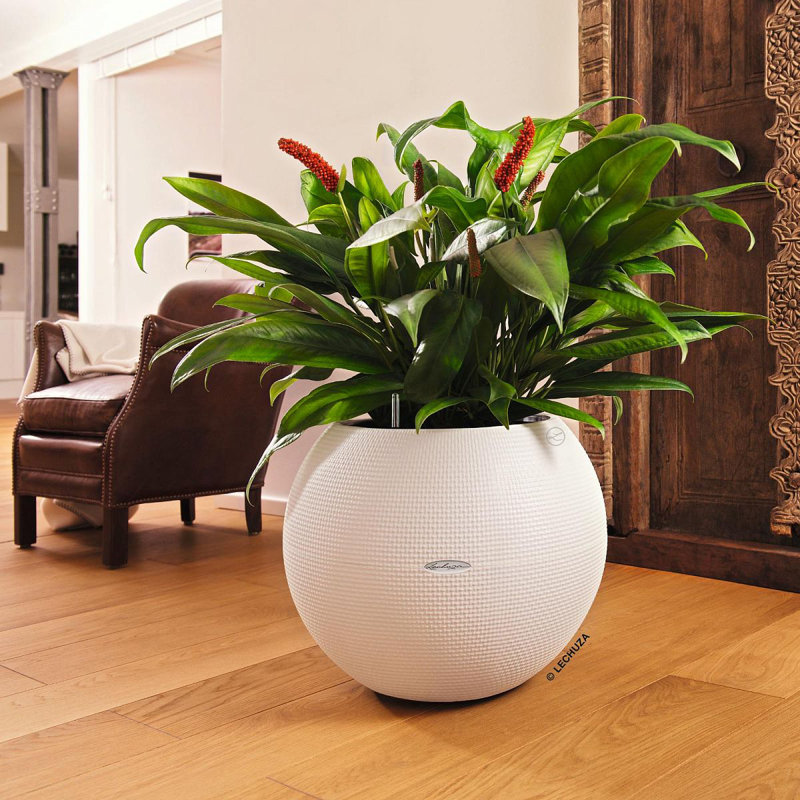 Pot Planter, 50.5 cm H x 50 cm W x 50 cm D, White