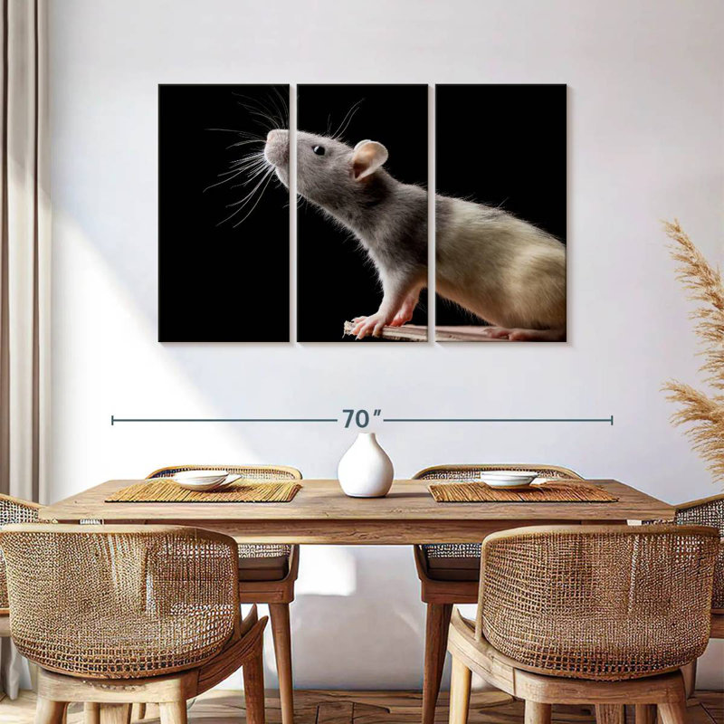Brampt Rat Close Up, 36" H x 57" W