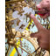Spring Flower 4 - Light Chandelier-2055703678