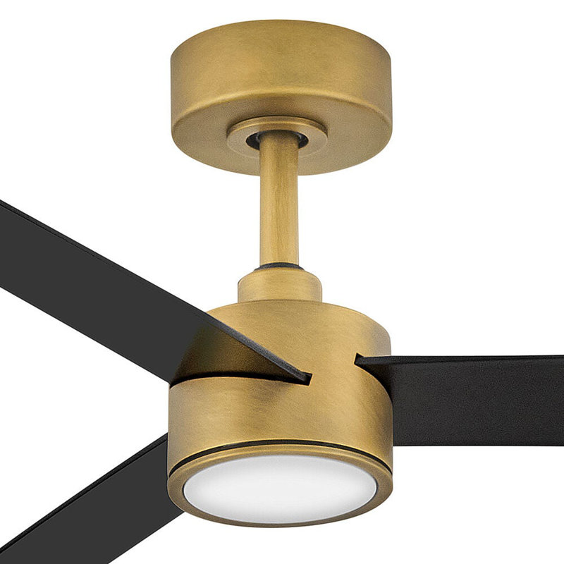 Hinkley Speck Ceiling Fan, Brass, Matte Black