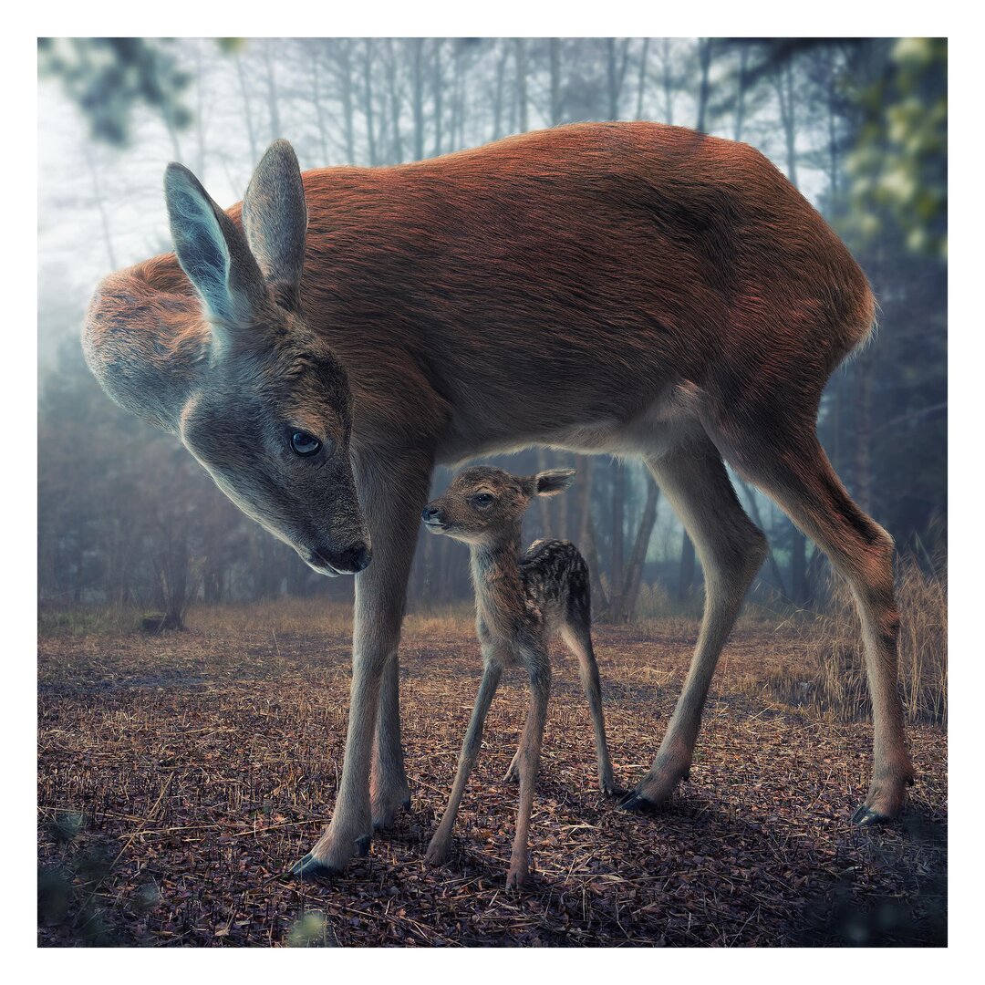 Strukturierte Fototapete Mother and Fawn 2,88 m x 288 cm