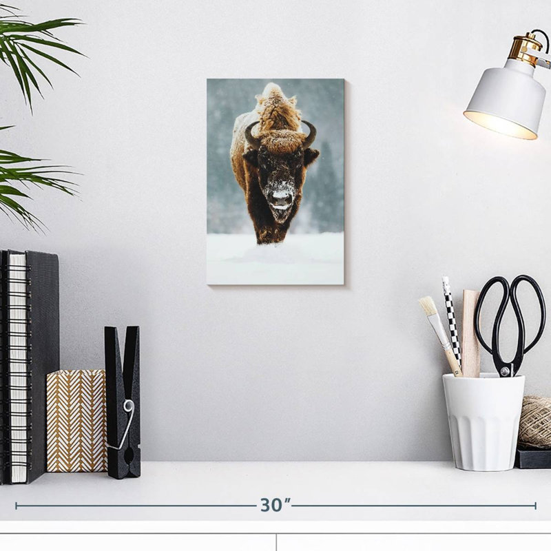 Impression sur toile Winter Buffalo, H 12 po x l 8 po x P 1 po