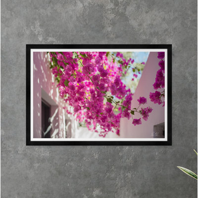 Bougainvillée ciel