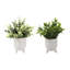 Ensemble 2 pièces d'eucalyptus artificiel en pot