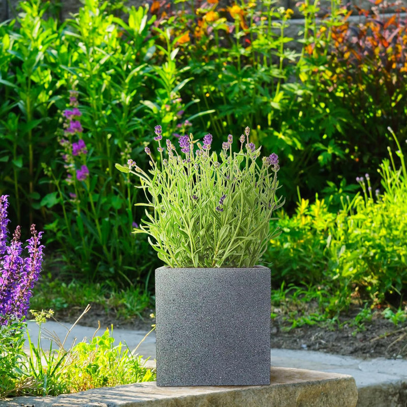 Grey Concrete Effect Square Planter, Frostproof Outdoor Plant Pot, Concrete Textured Flower Box, Garden Planter Box with Drainage Holes