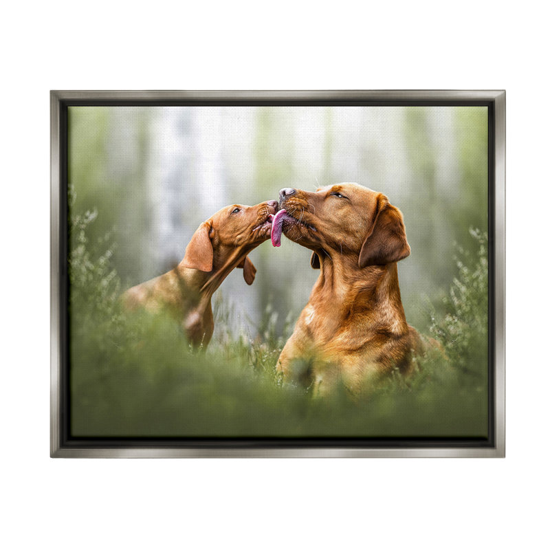 "Jouant des chiots dans un cadre flottant en herbe" par Natalie Grosse sur toile, Cadre flottant gris lustré