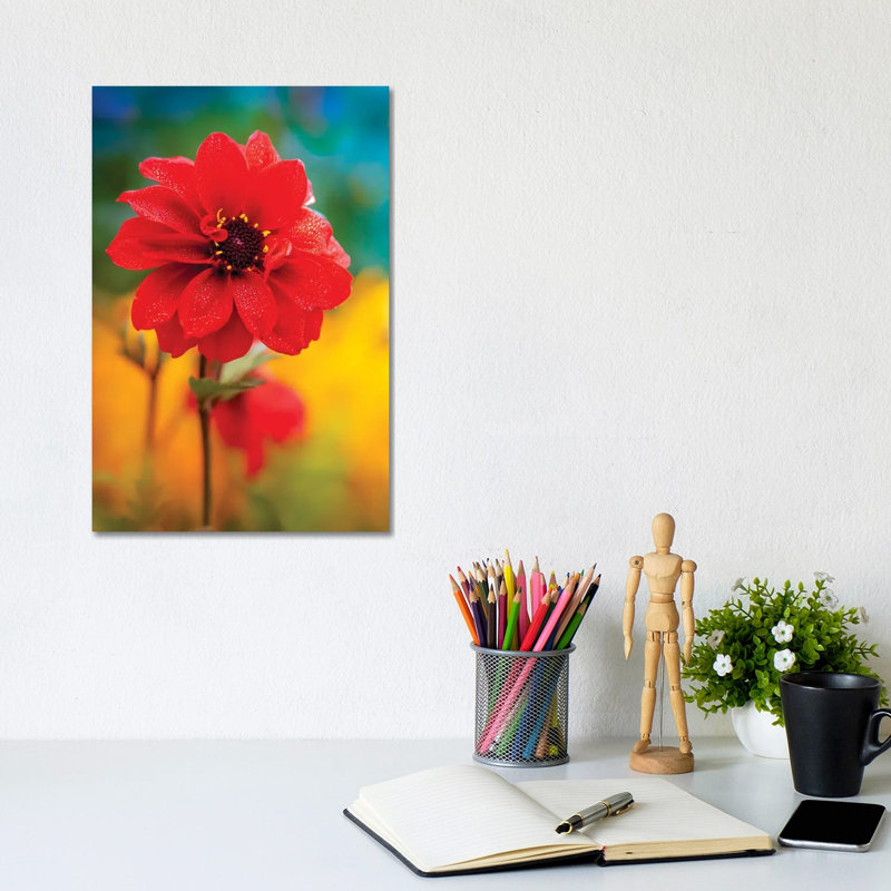 Dew Red Flower by Nik Rave - Wrapped Canvas Gallery-Wrapped Canvas Giclée, 20.32 cm H x 30.48 cm W