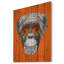 Alfaro singe avec miroir - Impression sur toile-35105136-35105147