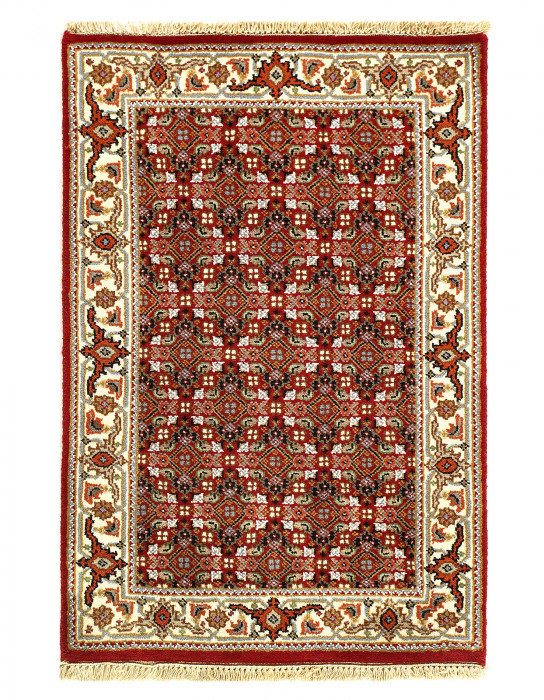 Dwania Hand Knotted Area Rug in Red