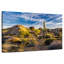 Alvord Saguaro, cactus et roches-108733872