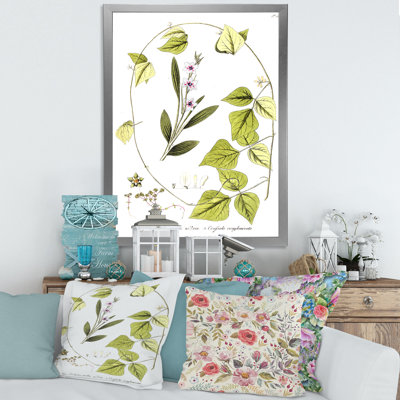 Vintage Botanicals XXI - Peinture sur toile