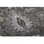 Yelverton Oriental Wool Hand Woven Area Rug-16757570
