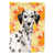 Black/Grey Dalmatian