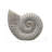 Coastal Woven Shell For Home Decor - Decorative Figurine Sculpture Object For Table Decor - Decorations For Living Room And Shelf Display - 12", White-312666996