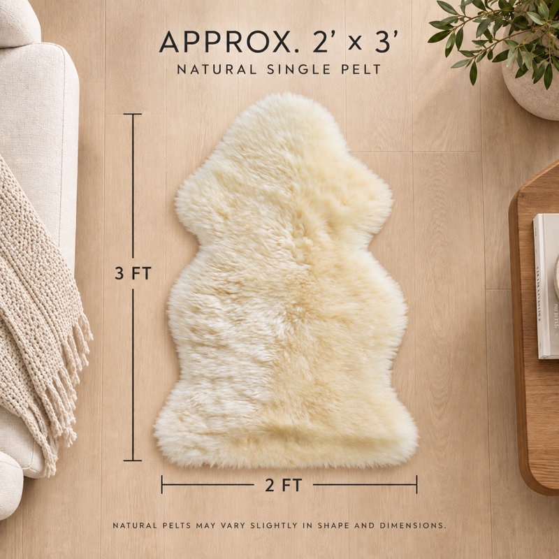 Tapis beige / blanc Estes New Zealand, Nouveauté: 2 pi x 3 pi