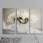 Farmhouse Blooms - ensemble de 3 reproductions de photos sur toile-1493122175