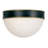 Capsule 12'' Outdoor Flush Mount