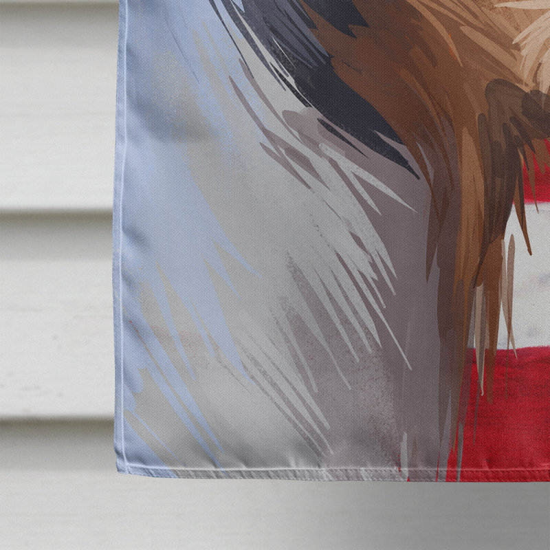 Polyester à 2 côtés 28 x 40 po drapeau maison, Ratonero Bodeguero Andaluz