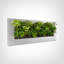 Rectangle Planter-1545934807