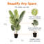 119.8cm Plant