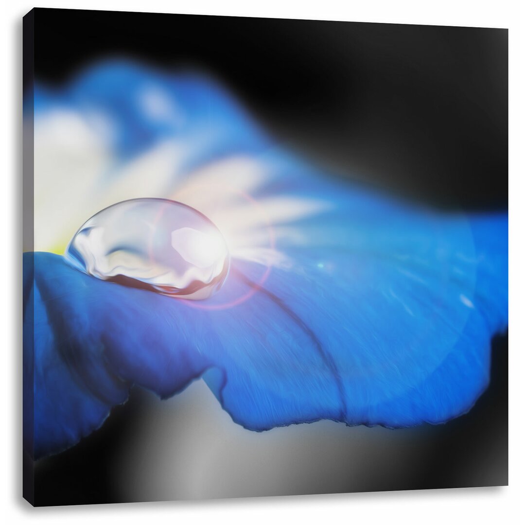 Leinwandbild Wassertropfen auf einer blauen Blume