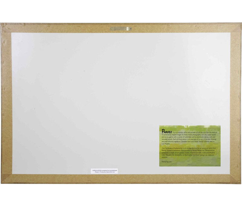 Parvez Taj - Wrapped Canvas Print, 76cm H x 114cm W