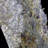 Landscape & Nature Crystal