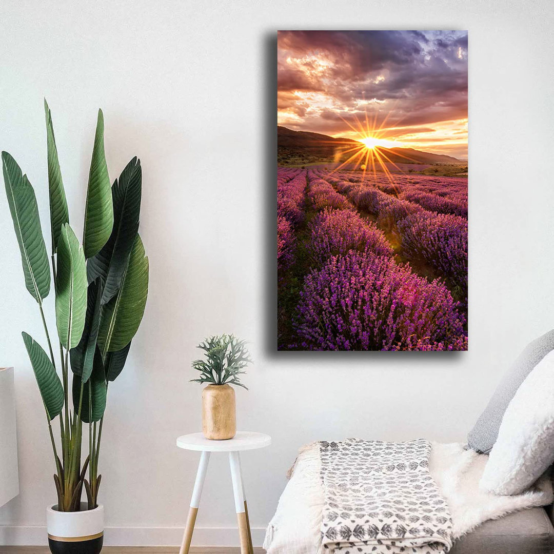 Blume Lavendel Sonnenschein - Gemälde auf Leinwand