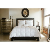 Serenity Goose All Season Down Comforter