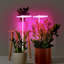 Veilleuse à DEL anneau de croissance pour plantes USB pour plantes d'intérieur pour plantes grasses pour plantes de bureau-132011660