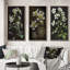 «Blossoming Diphylleia Grayi On Black», 3 pièces-1515567670-1515567669