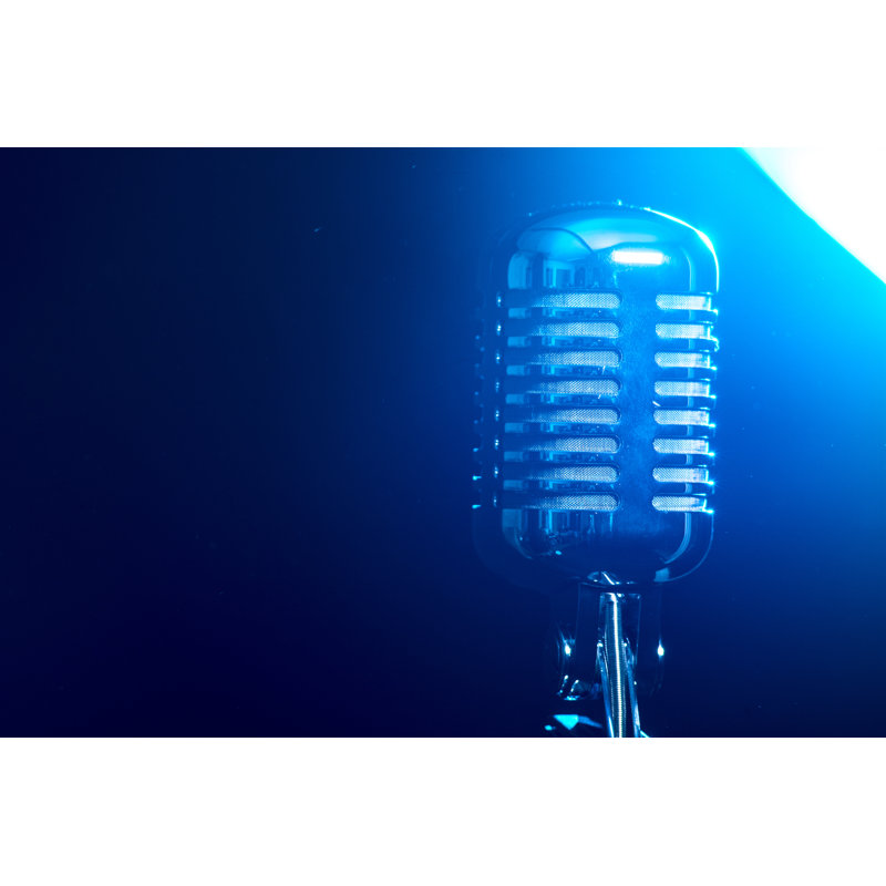Metallic Microphone - Wrapped Canvas Print, 51cm H x 76cm W x 3.8cm D