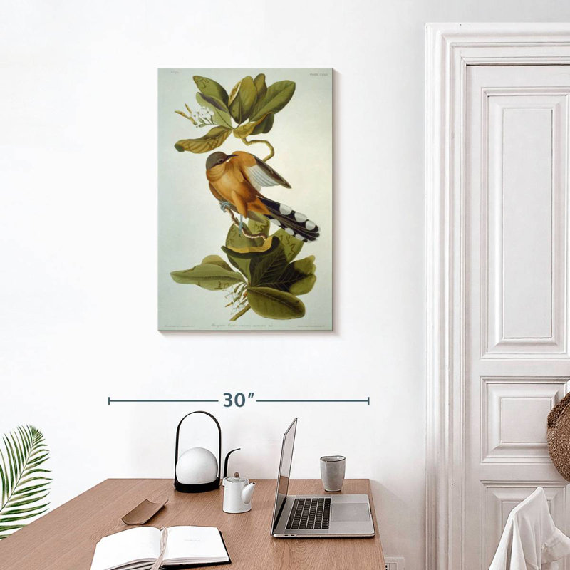 Brampt Mangrove Cuckoo, 30" H x 20" W