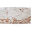 Table basse Imahni