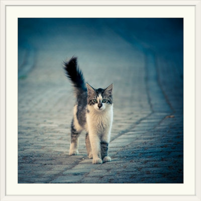 Straub " Little One " Print