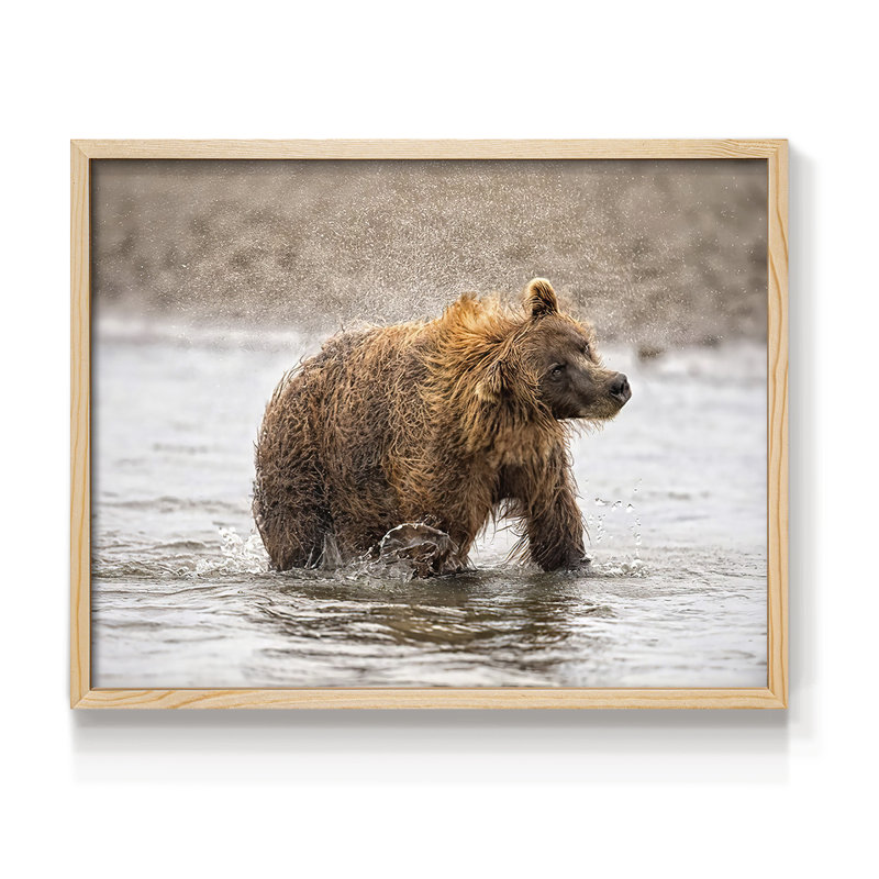 Photography Study Shake it Off -Framed Print - Restickable, H 8 po x l 10 po, Naturel